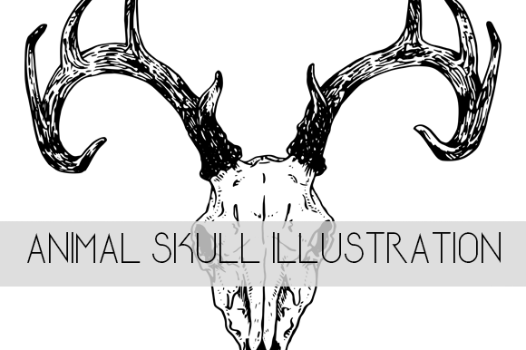 Animal Skull - Deer Illustration: A Vintage Vector for Bold Brands