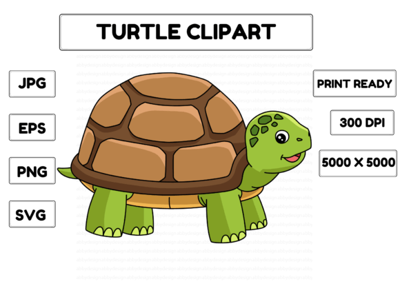 Unlocking Creative Potential with Turtle Animal Cartoon Colored Clipart