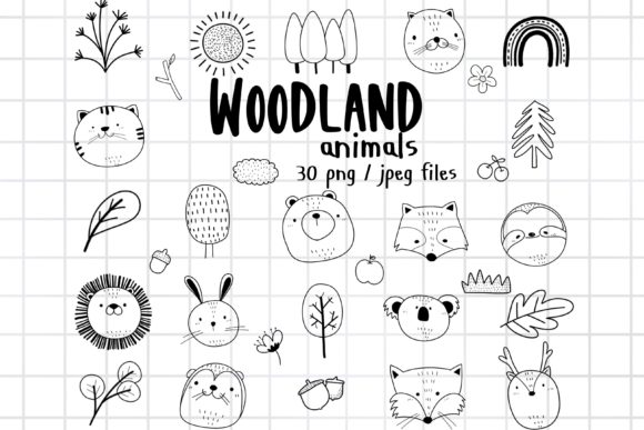 Woodland Animals Clipart: Wild Animal Design Assets